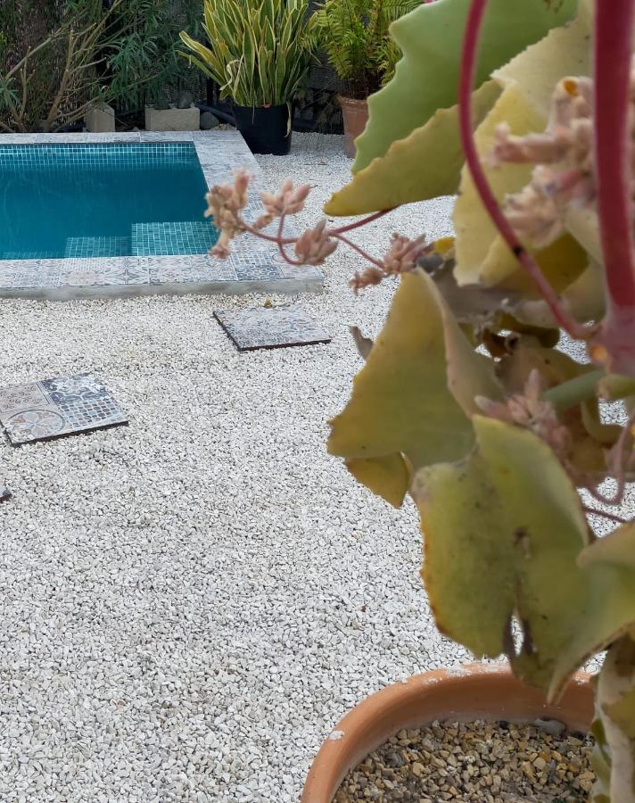 Casa Eline De Lujo Casco Antiguo Piscina Privada Y Jardin * Altea