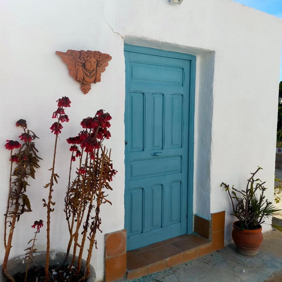 Casa Eline De Lujo Casco Antiguo Piscina Privada Y Jardin