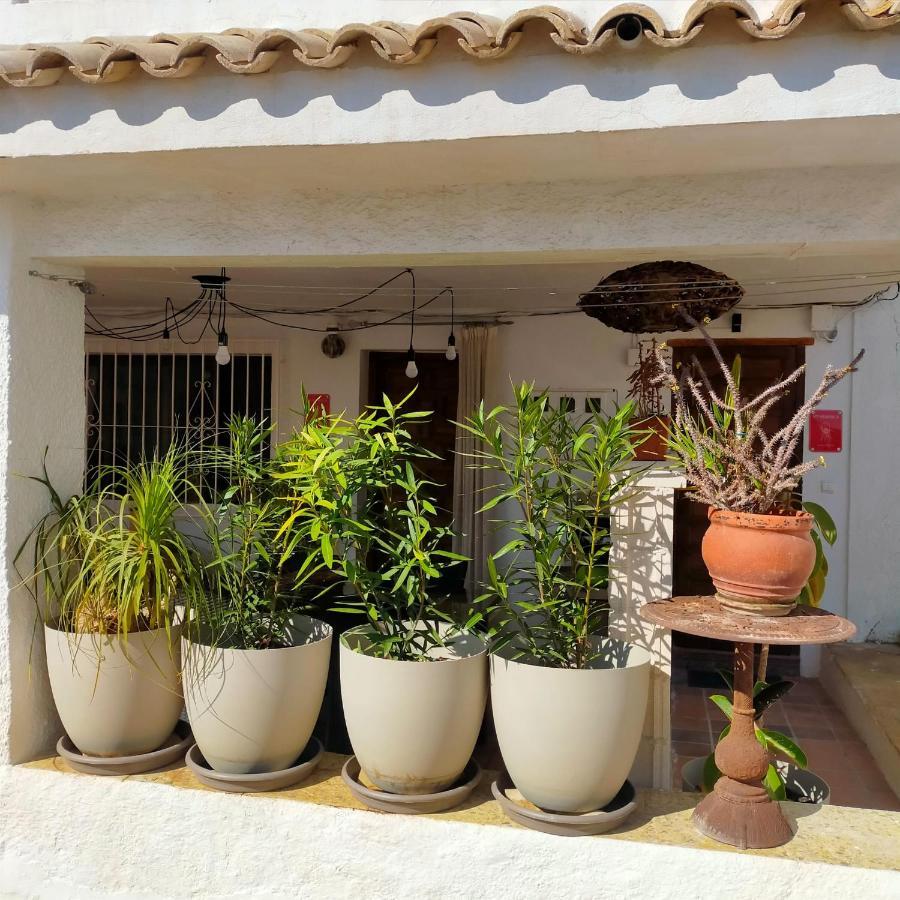 Holiday home Casa Eline De Lujo Casco Antiguo Piscina Privada Y Jardin