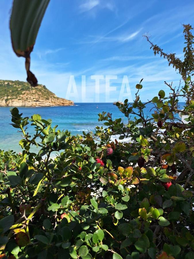 Casa Eline De Lujo Casco Antiguo Piscina Privada Y Jardin Holiday home Altea