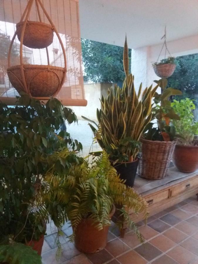 Casa Eline De Lujo Casco Antiguo Piscina Privada Y Jardin Holiday home